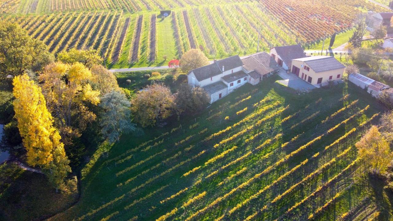 Les Vignes Villa Pomport Esterno foto