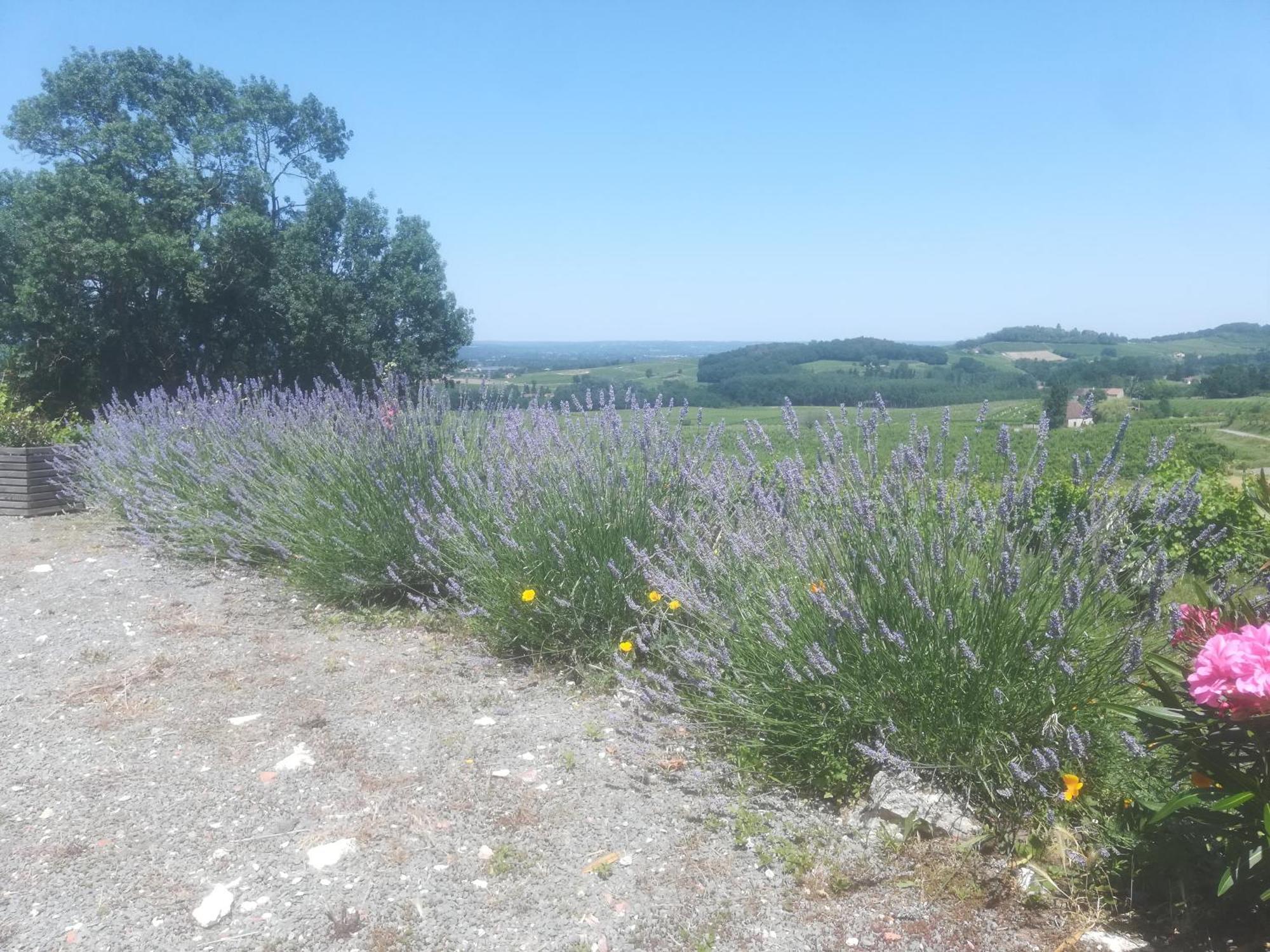 Les Vignes Villa Pomport Esterno foto